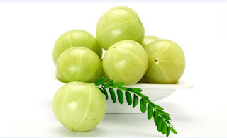 আমলকি Indian gooseberry