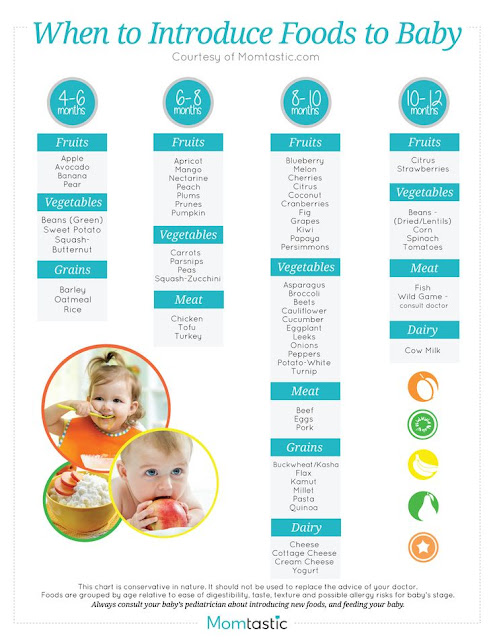 Best Baby Food For 5 Month Old No Longer a Mystery