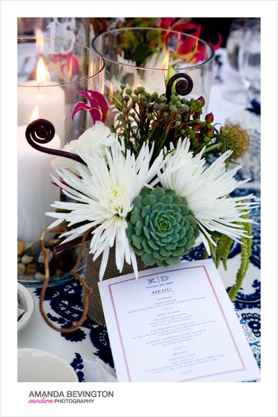 I love these plants so much that they were part of our wedding centerpieces 