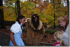 wizard of oz (7)