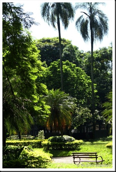 luz22