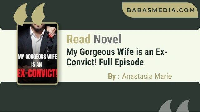Cover My Gorgeous Wife is an Ex-Convict! Novel By Anastasia Marie