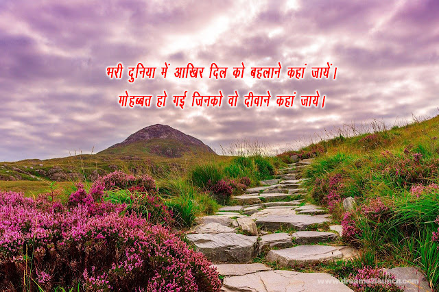 dard sad shayari