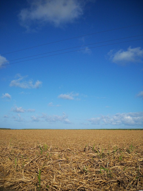 DSCN6576