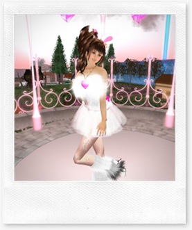 Tvd_20090322b_018