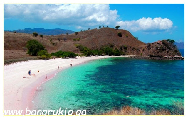 Pink Beach east lombok