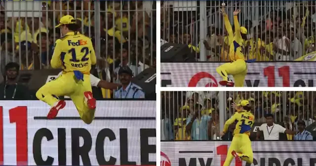 Dewald Brevis Pulls Off the Best Catch of IPL 2025