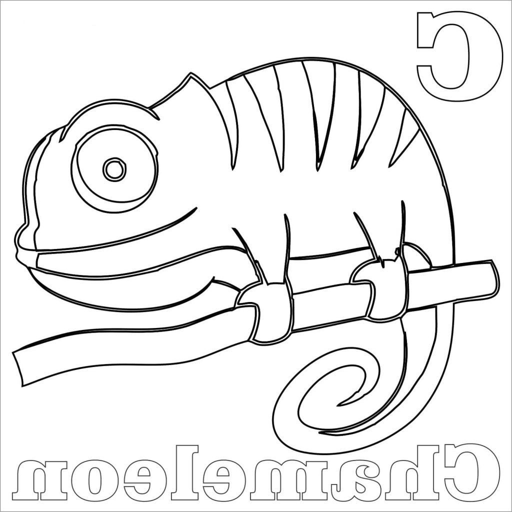 animals coloring page