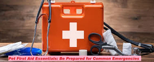 Pet First Aid Essentials: Be Prepared for Common Emergencies