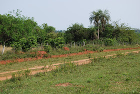 campagne Paraguay