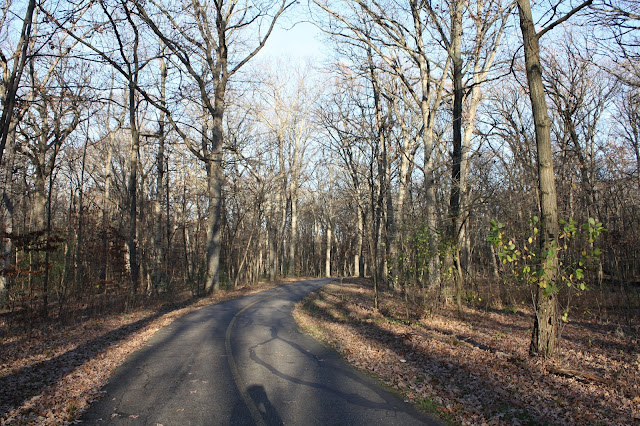 Hiking and biking path cutting through fall leaves at Busse Woods.