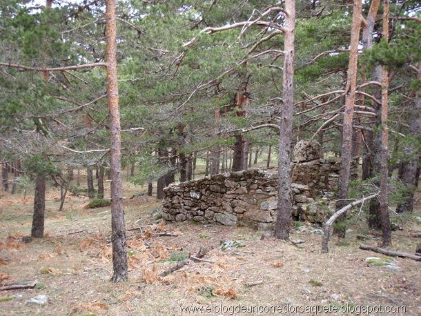 cueva_valiente 03-04-10 - 0020