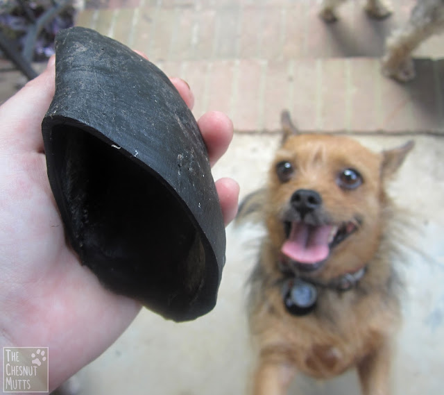 Jones Natural Chews cow hoof