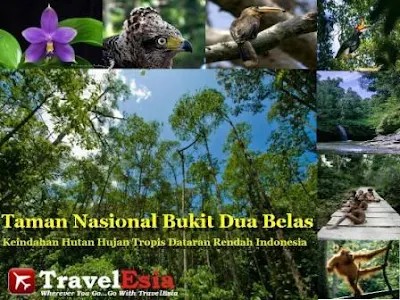 37 TEMPAT WISATA DI SAROLANGUN JAMBI TERBARU YANG WAJIB DIKUNJUNGI BERSAMA