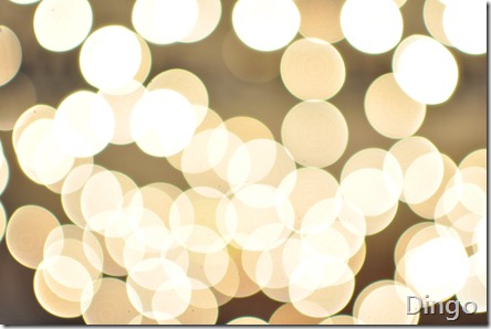 WIDE OPEN....BOKEH!!!