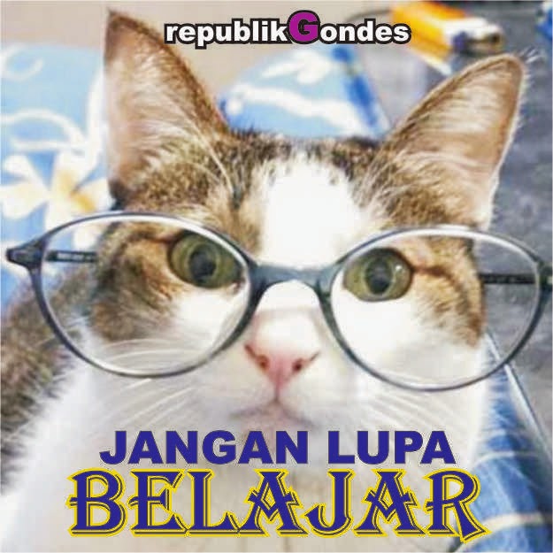 DP BBM Gambar Ekspresi  Hewan  Keren Cerita Humor Lucu  