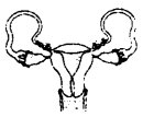 Biology MCQs for Class 12 with Answers Chapter 4 Reproductive Health Q22