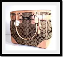 COACH4