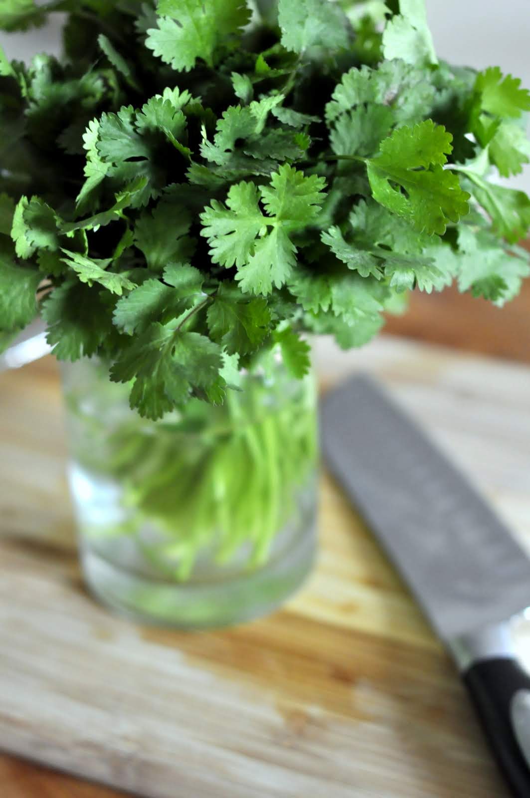 Fresh Cilantro | Taste As You Go