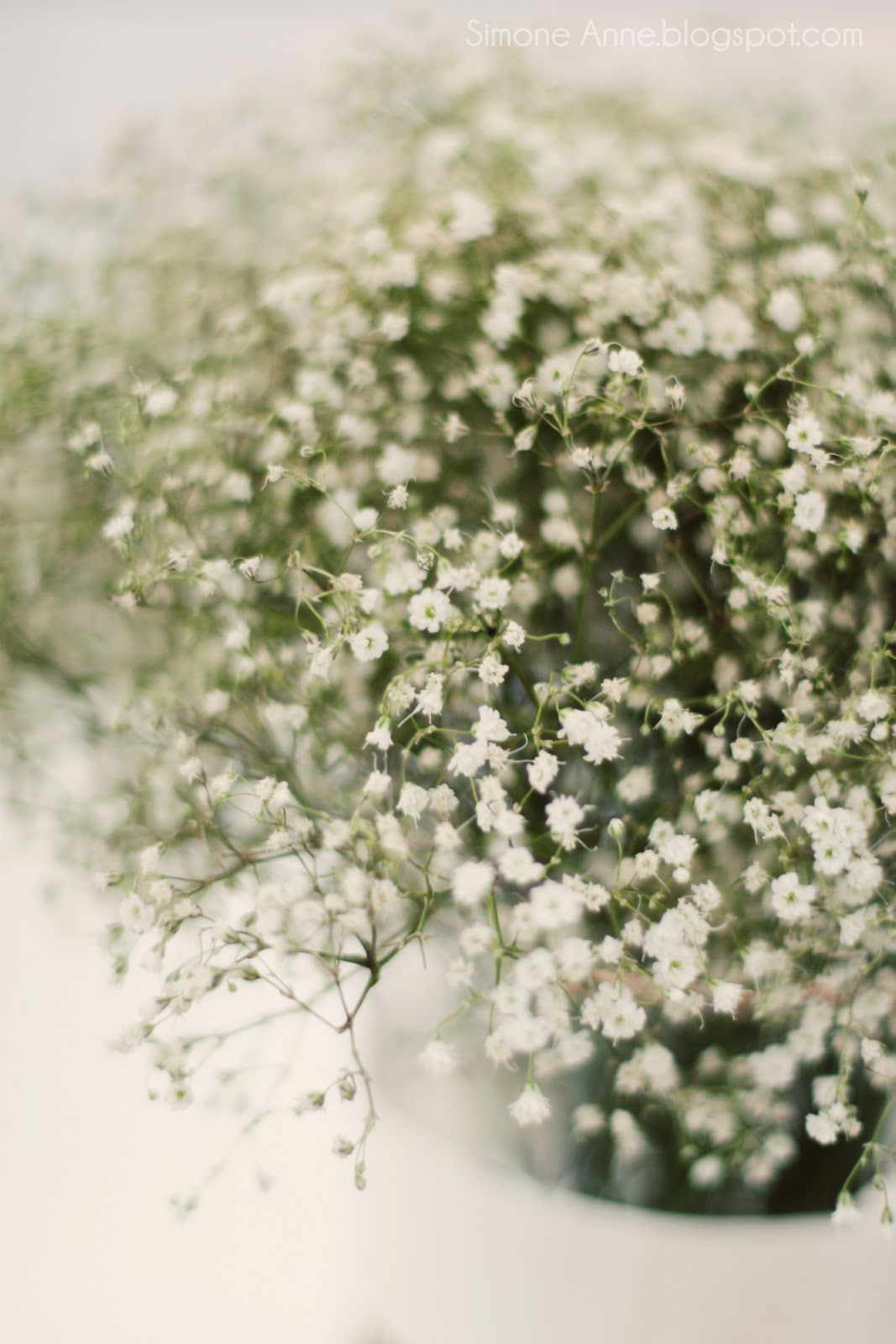 baby s breath wedding