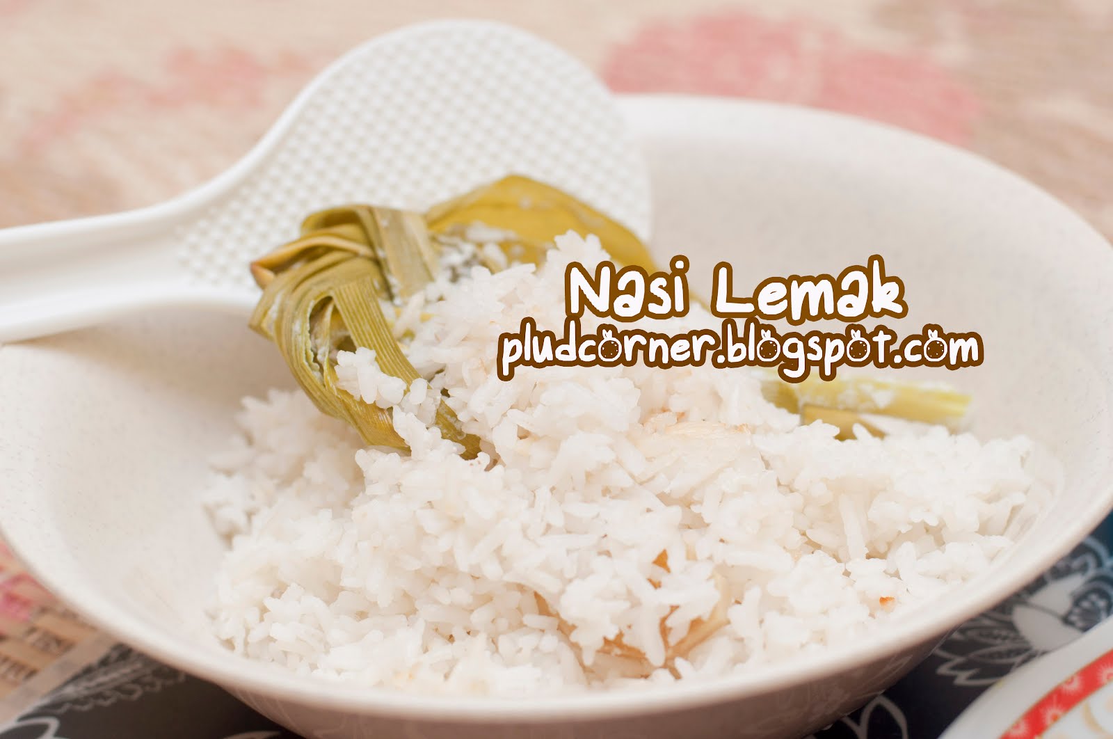 Nasi Lemak Ikan Tongkol ~ ♥ Plud's Corner