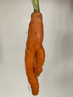 carota e quiete