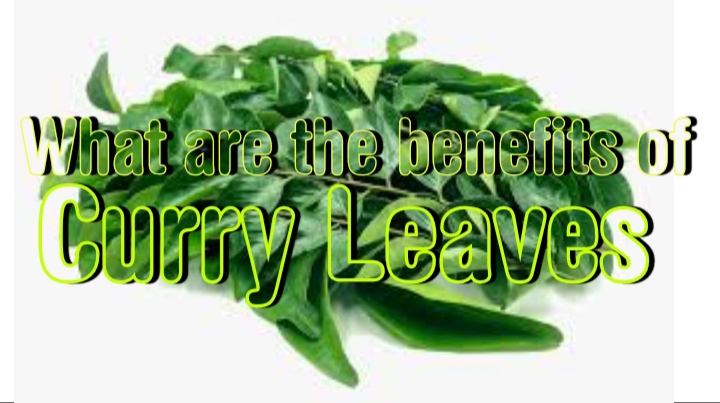 What are the benefits of Curry Leaves
