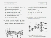 Dalam Perkembangan Ilmu Bioteknologi Telah Ditemukan Plasmid Yang
Direkayasa