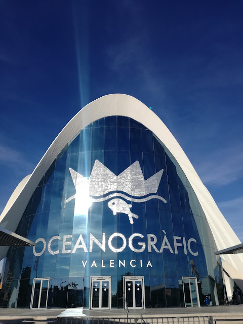 oceanografico-spagna