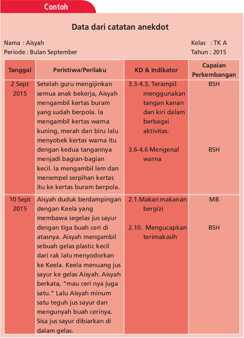 Format Contoh Catatan Anekdot Anak PAUD Kurikulum 2013 PAUD JATENG