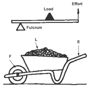 wheelbarrow