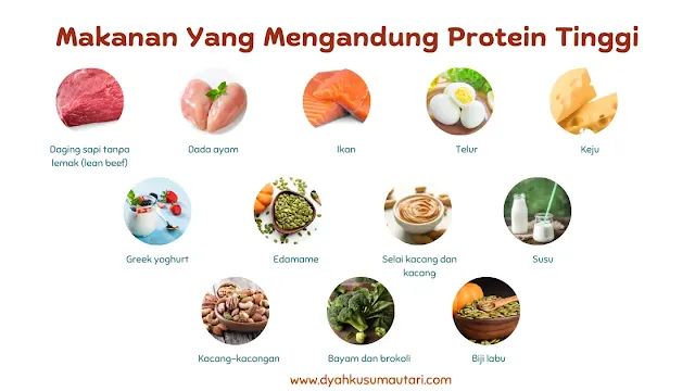 Makanan Yang Mengandung Protein Tinggi