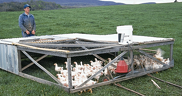 Joel Salatin Chicken Tractor Plans Pdf - Image Mag