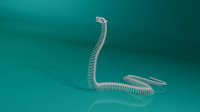 3d model snake skeleton