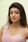 Pranitha latest Photos at Rabhasa-thumbnail-27