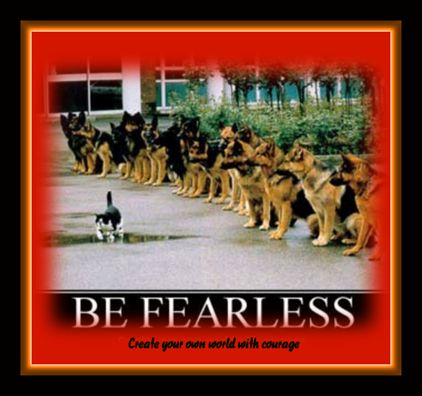 Courage cat