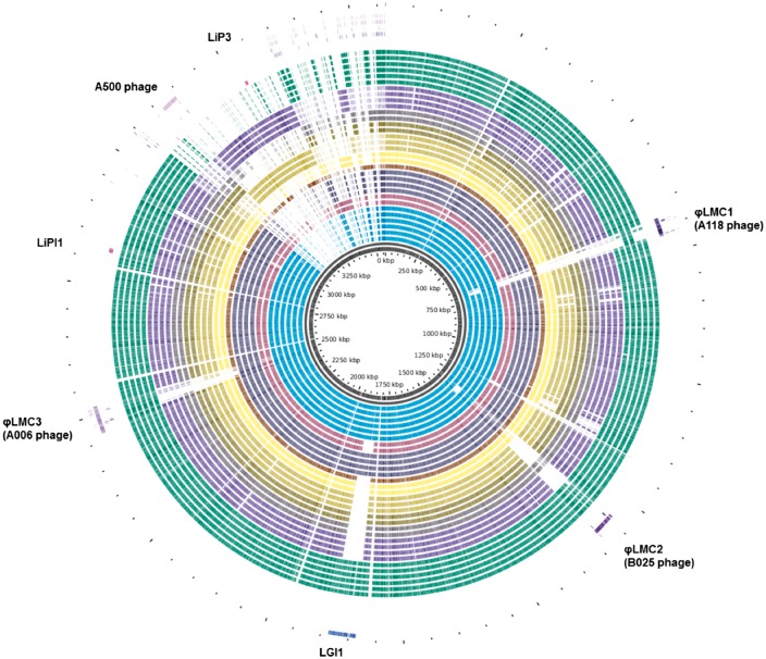 analyse du genome bacterien bioeduc