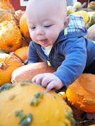 Like me, he was drooling over the pumpkins by the end