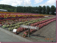 RIMG0214