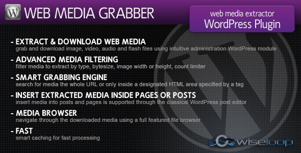 Web Media Grabber WordPress Plugin  - CodeCanyon Item for Sale