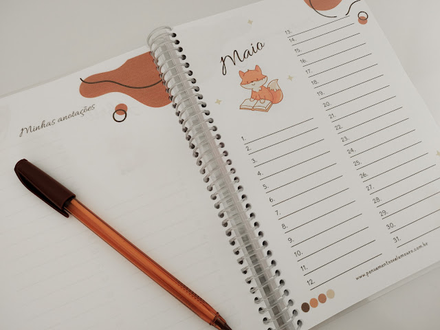 Planner, Planner literário, planner gratuito, planner para baixar, organização pessoal, organização, planejamento pessoal, blog literário, Vanessa Vieira, Pensamentos Valem Ouro