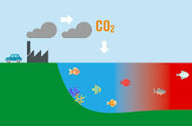 The image shows the cycle of carbon dioxide (CO2) in the atmosphere, ocean and land. Arrows show how CO2 moves between different reservoirs.
