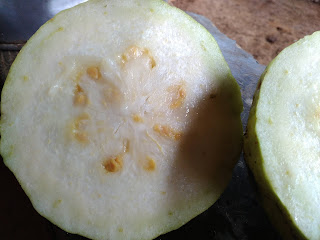 Pearl Guava