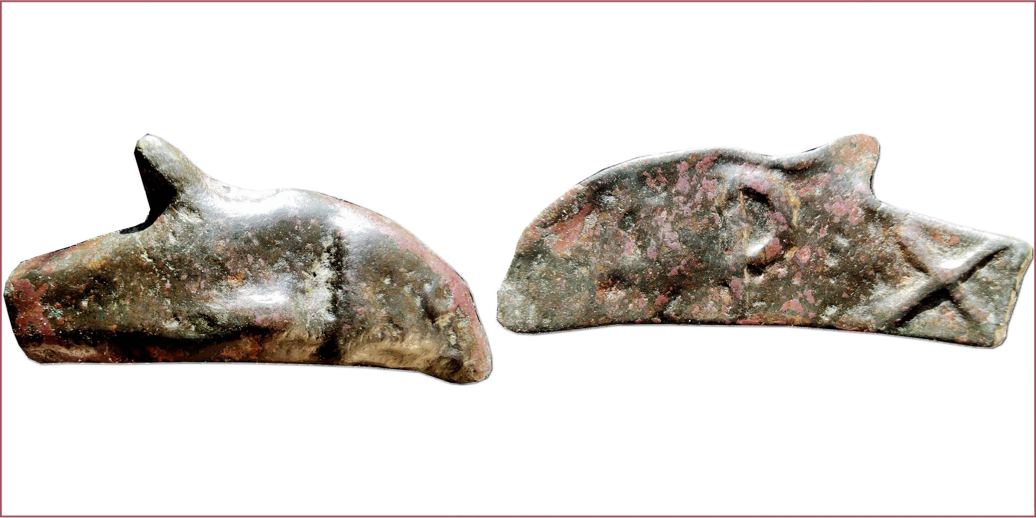 Olbia Cast AE Dolphin, 500-400 BC: Greek city-state Olbia