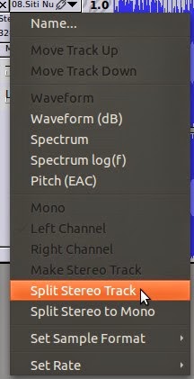 Cara Menggabungkan Suara dan Menghapus Track dengan Audacity