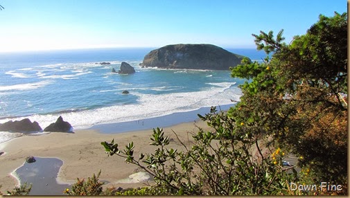 Harris Beach_018
