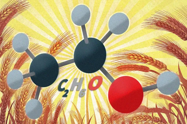 Las levaduras modificadas podrían aumentar la producción de biocombustibles