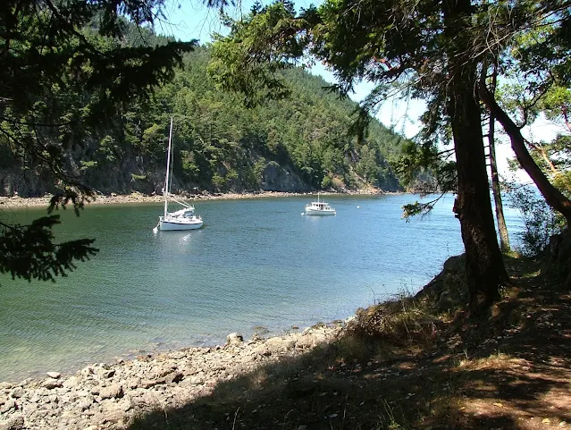 Cypress Head campground, cypress Island anchor buoys