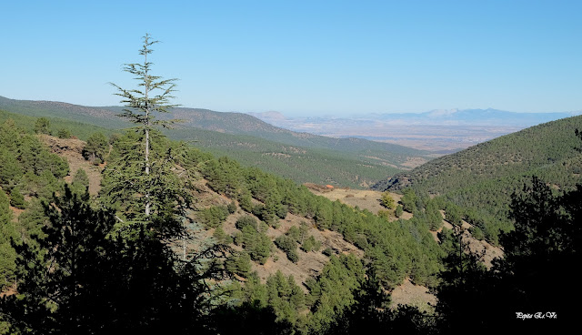 Cortijo Pichica, Sierra Nevada
