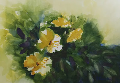 Loose Yellow Hibiscus - Watercolor - JKeese